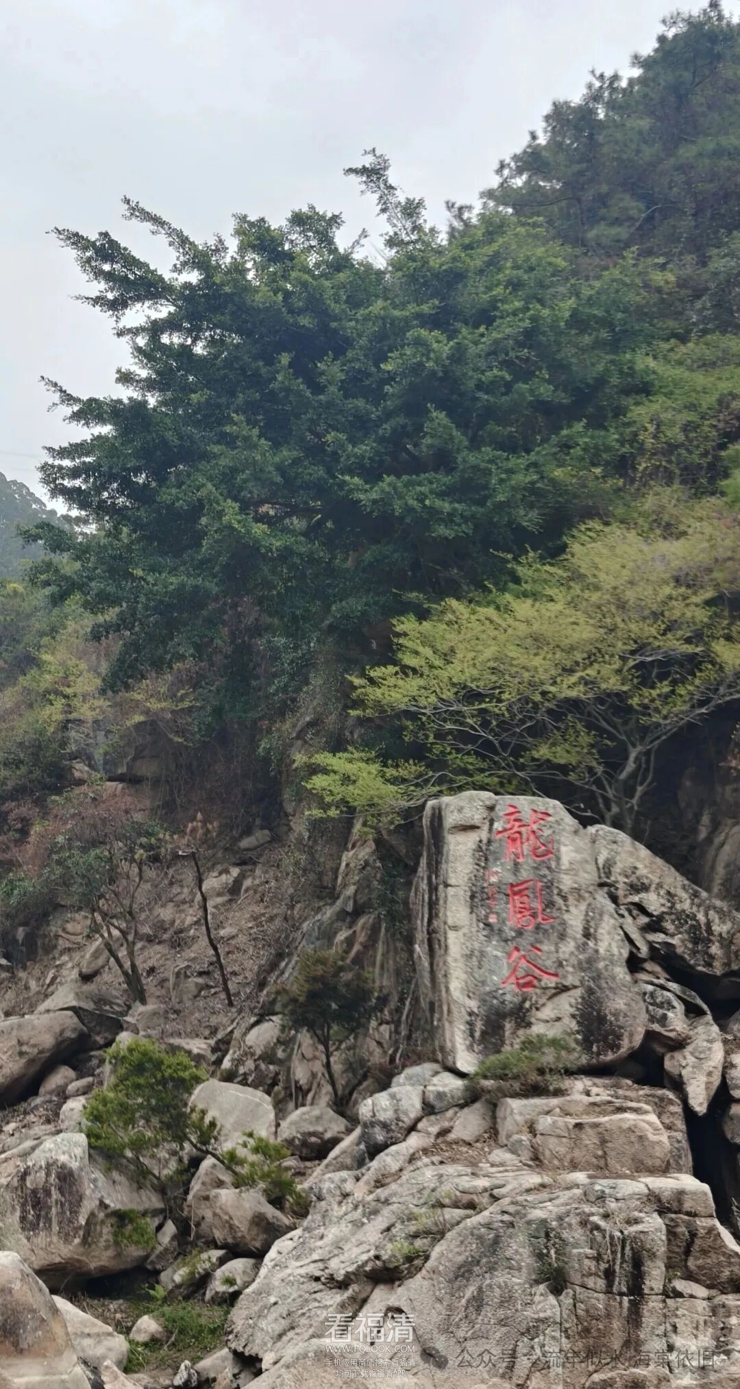 191059f6nuirw6lrn996zh.jpeg