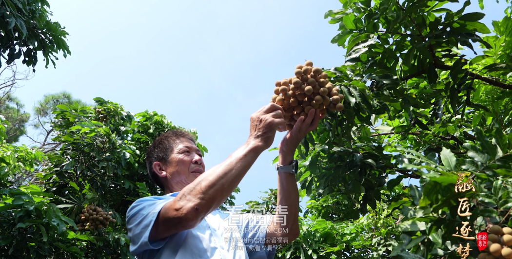 084807nghhqx82m6jfhoq8.png