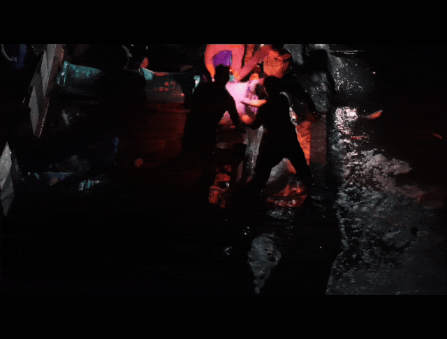 083500havgphuwc66vkzrg.gif