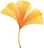 083545f1d3vh321zq331dz.png