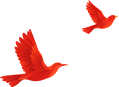 083836tmx0ysmdyisawzma.png