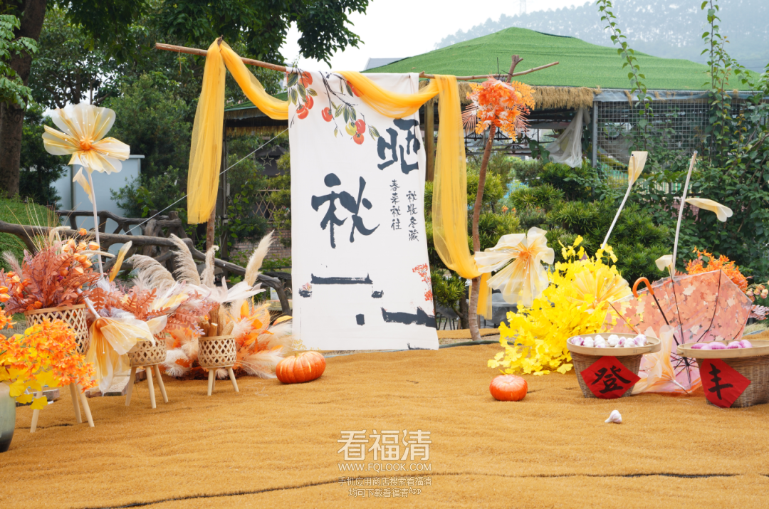 092049gpc155fs5qgzz44d.png