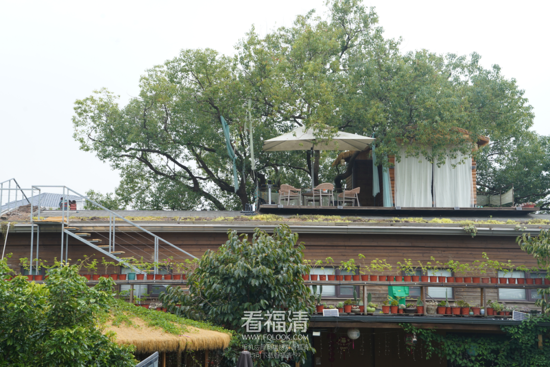 092051pee36z157os3yiqi.png