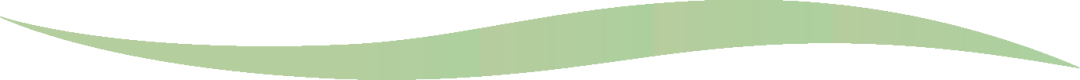 101439srezspmhe0dlb7hl.png