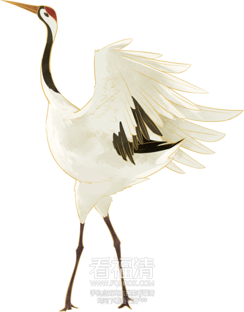 174713f010hztnmy2h0nhb.png